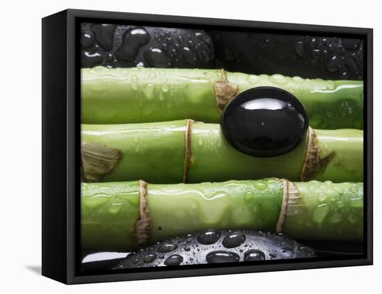 Black Stone on Bamboo-Uwe Merkel-Framed Premier Image Canvas