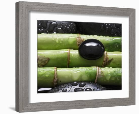 Black Stone on Bamboo-Uwe Merkel-Framed Photographic Print