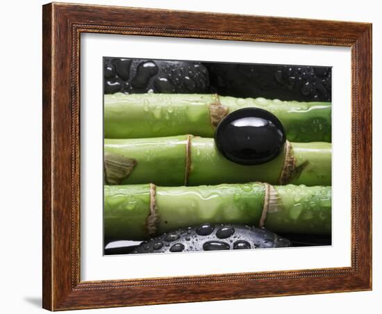 Black Stone on Bamboo-Uwe Merkel-Framed Photographic Print