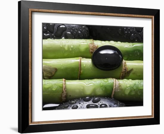 Black Stone on Bamboo-Uwe Merkel-Framed Photographic Print