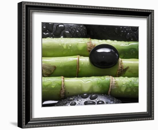 Black Stone on Bamboo-Uwe Merkel-Framed Photographic Print