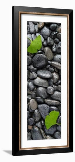 Black Stones And Ginko Leaves Vertical Panorama-Steve Gadomski-Framed Photographic Print