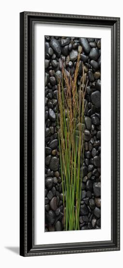 Black Stones And Grasses-Steve Gadomski-Framed Photographic Print