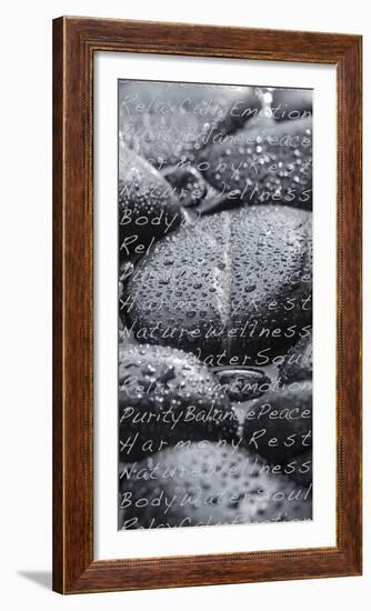 Black Stones in the Water, Writing, Zen, Spa-Uwe Merkel-Framed Photographic Print