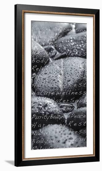 Black Stones in the Water, Writing, Zen, Spa-Uwe Merkel-Framed Photographic Print