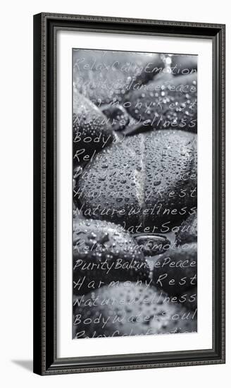 Black Stones in the Water, Writing, Zen, Spa-Uwe Merkel-Framed Photographic Print