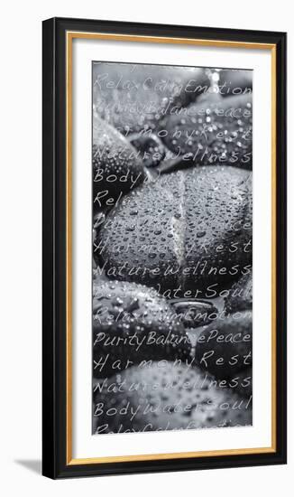 Black Stones in the Water, Writing, Zen, Spa-Uwe Merkel-Framed Photographic Print