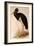 Black Stork, Ciconia Nigra-Edward Lear-Framed Giclee Print