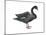Black Swan (Cygnus Atratus), Birds-Encyclopaedia Britannica-Mounted Art Print
