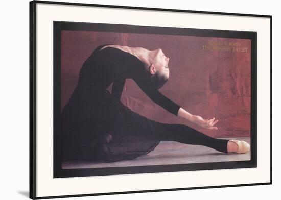 Black Swan-Harvey Edwards-Framed Art Print