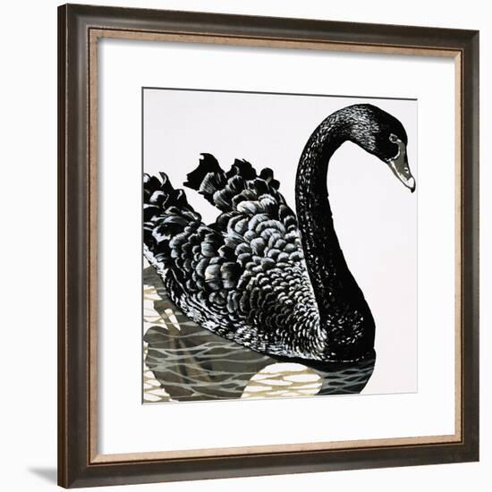 Black Swan-null-Framed Giclee Print