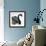 Black Swan-null-Framed Giclee Print displayed on a wall