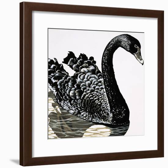 Black Swan-null-Framed Giclee Print