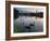 Black Swans, Cygnus Atratus, at Sunrise in Ibirapuera Park-Alex Saberi-Framed Photographic Print