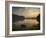 Black Swans Glide on the Lake at Ibirapuera Park in Sao Paulo at Sunrise-Alex Saberi-Framed Photographic Print