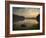 Black Swans Glide on the Lake at Ibirapuera Park in Sao Paulo at Sunrise-Alex Saberi-Framed Photographic Print