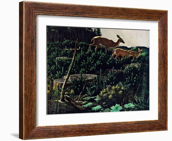 Black Tail Deer-Stan Galli-Framed Giclee Print