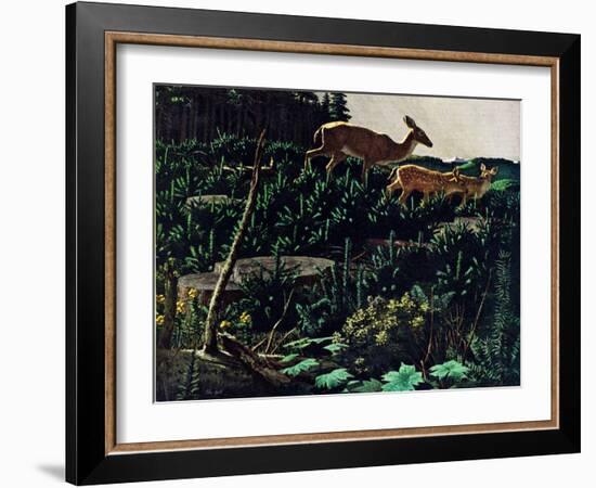 Black Tail Deer-Stan Galli-Framed Giclee Print