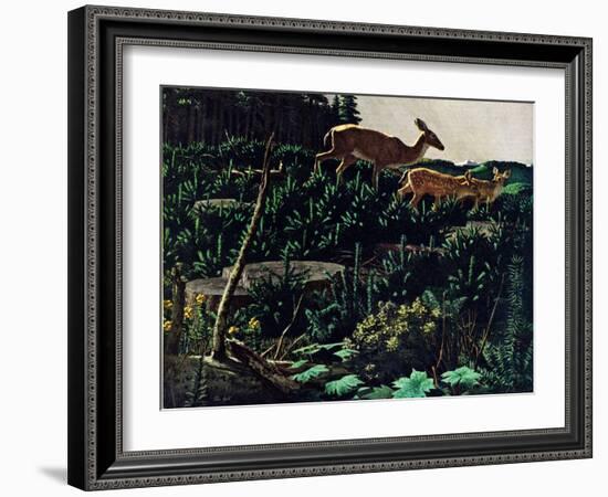 Black Tail Deer-Stan Galli-Framed Giclee Print