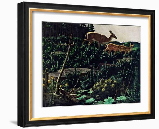 Black Tail Deer-Stan Galli-Framed Giclee Print