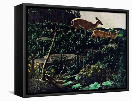 Black Tail Deer-Stan Galli-Framed Premier Image Canvas