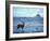 Black-Tailed Deer, Doe on the Beach at Cape Alava, Olympic National Park, Washington, USA-Steve Kazlowski-Framed Photographic Print