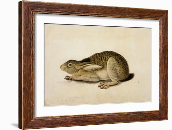 Black-Tailed Hare, 1841-John James Audubon-Framed Giclee Print