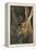 Black-Tailed Jackrabbit Wildlife, USA-Gerry Reynolds-Framed Premier Image Canvas