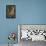 Black-Tailed Jackrabbit Wildlife, USA-Gerry Reynolds-Framed Premier Image Canvas displayed on a wall
