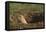 Black-Tailed Prairie Dog Peeking out of Den-DLILLC-Framed Premier Image Canvas