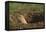 Black-Tailed Prairie Dog Peeking out of Den-DLILLC-Framed Premier Image Canvas