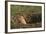 Black-Tailed Prairie Dog Peeking out of Den-DLILLC-Framed Photographic Print