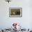 Black-Tailed Prairie Dog Peeking out of Den-DLILLC-Framed Photographic Print displayed on a wall