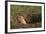 Black-Tailed Prairie Dog Peeking out of Den-DLILLC-Framed Photographic Print