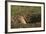 Black-Tailed Prairie Dog Peeking out of Den-DLILLC-Framed Photographic Print