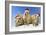 Black-Tailed Prairie Dog Three Animals in a Row-null-Framed Photographic Print