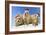 Black-Tailed Prairie Dog Three Animals in a Row-null-Framed Photographic Print