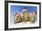 Black-Tailed Prairie Dog Three Animals in a Row-null-Framed Photographic Print