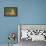 Black-Tailed Prairie Dog-DLILLC-Framed Premier Image Canvas displayed on a wall