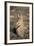 Black-Tailed Prairie Dog-DLILLC-Framed Photographic Print