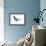 Black Tern (Chlidonias Niger Surinamensis), Birds-Encyclopaedia Britannica-Framed Art Print displayed on a wall