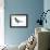 Black Tern (Chlidonias Niger Surinamensis), Birds-Encyclopaedia Britannica-Framed Art Print displayed on a wall