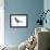 Black Tern (Chlidonias Niger Surinamensis), Birds-Encyclopaedia Britannica-Framed Art Print displayed on a wall