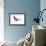 Black Tern (Chlidonias Niger Surinamensis), Birds-Encyclopaedia Britannica-Framed Art Print displayed on a wall