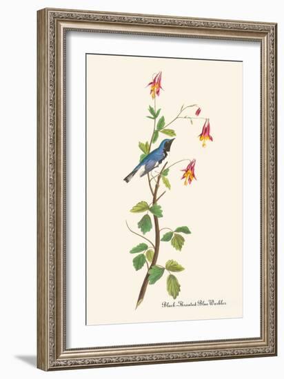 Black-Throated Blue Warbler-John James Audubon-Framed Art Print