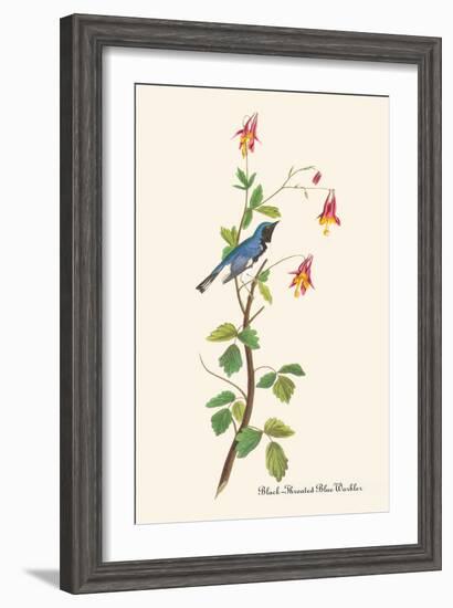 Black-Throated Blue Warbler-John James Audubon-Framed Art Print