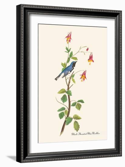 Black-Throated Blue Warbler-John James Audubon-Framed Art Print