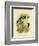 Black-Throated Crow-Shrike, 1891-Gracius Broinowski-Framed Giclee Print