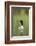 Black-Throated Diver (Gavia Arctica), Finland, June-Danny Green-Framed Photographic Print