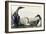 Black-Throated Diver-John James Audubon-Framed Giclee Print
